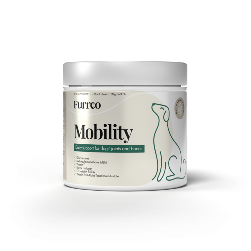 Suplement dla psa na wsparcie kości i stawów dla pupila i seniora